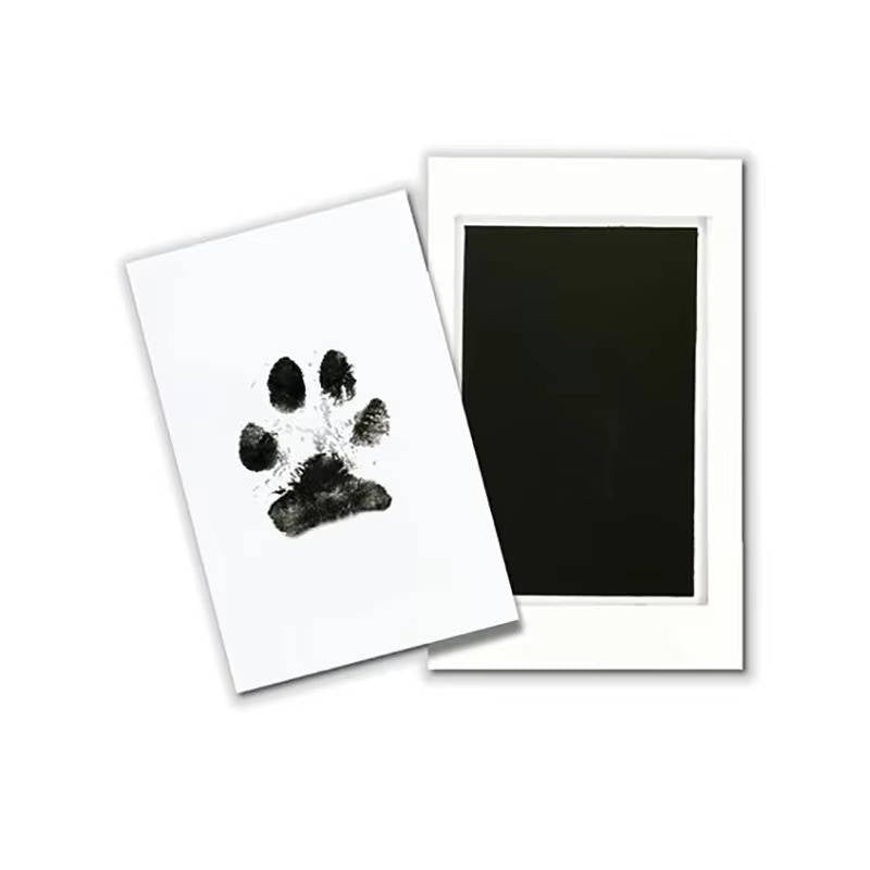 Dog Paw Print Kit 6