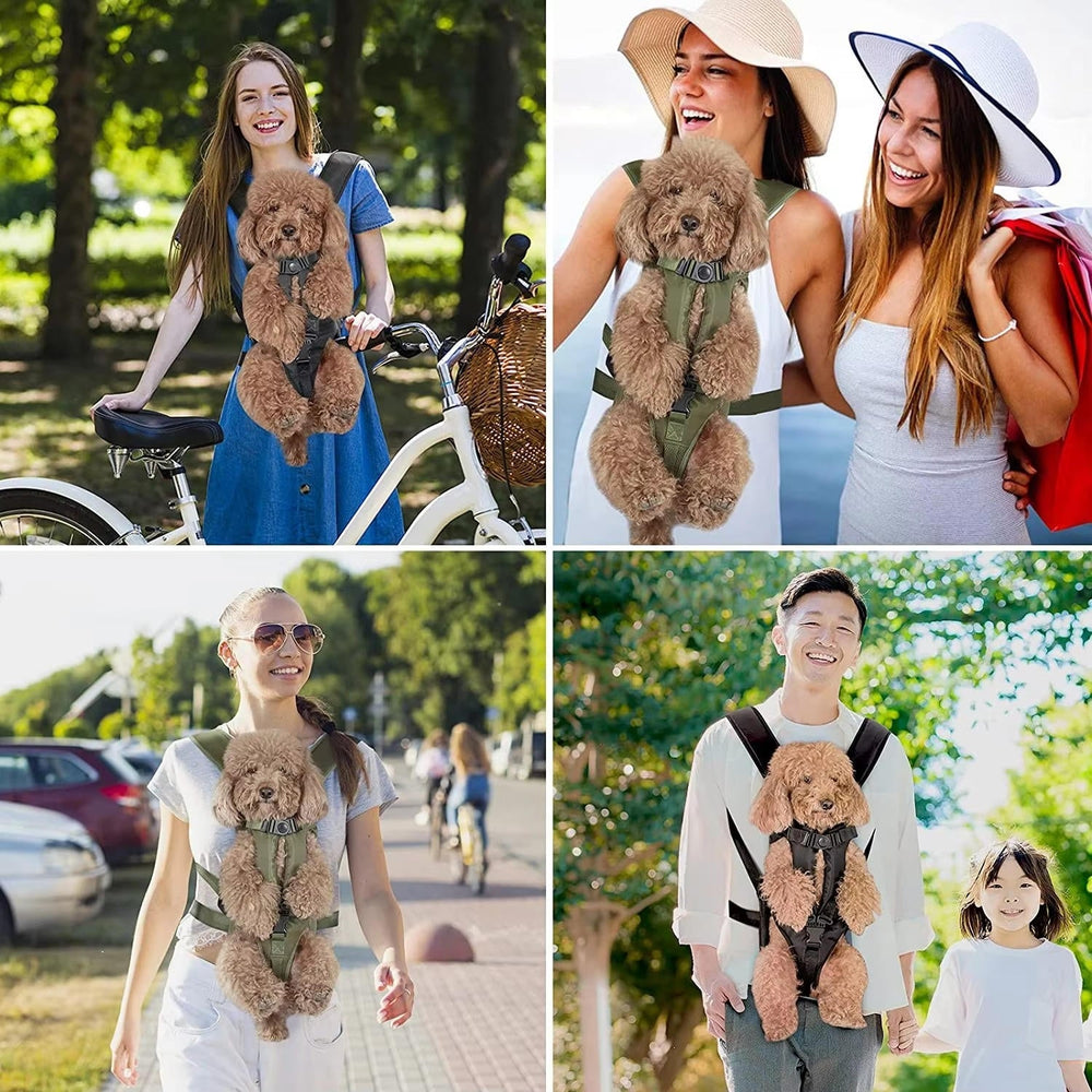 Dog carrying backpack 1
