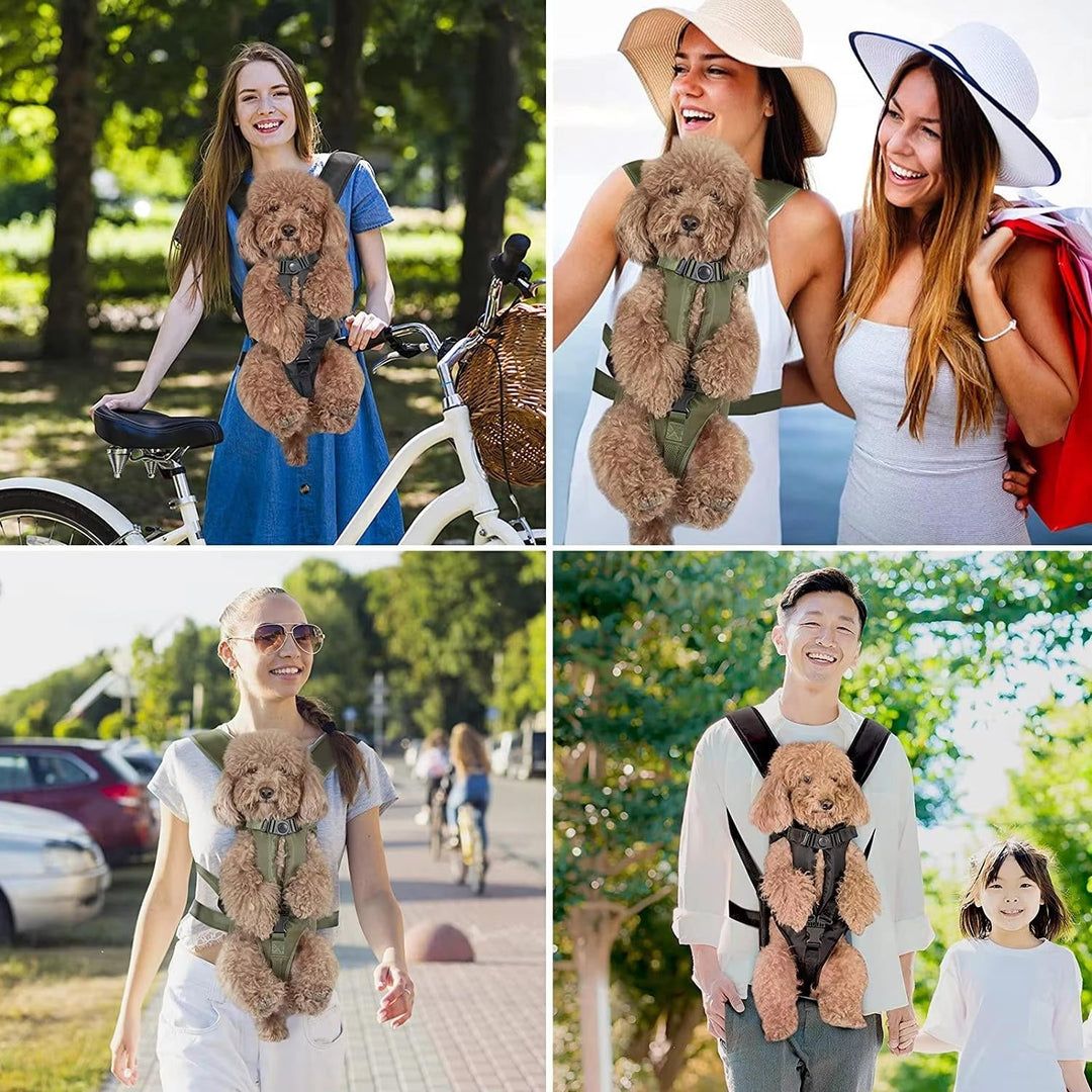 Dog carrying backpack 1