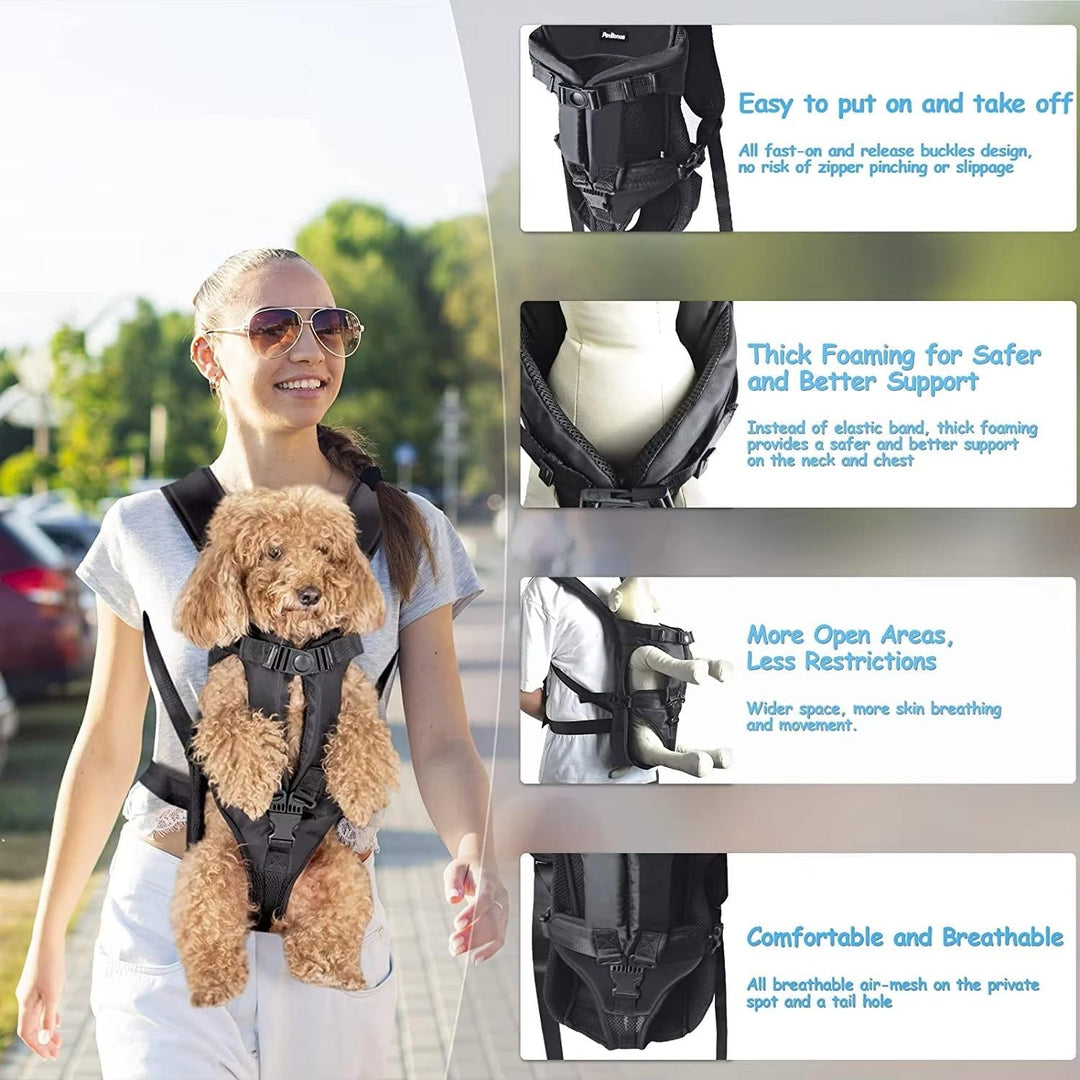 Dog carrying backpack 2
