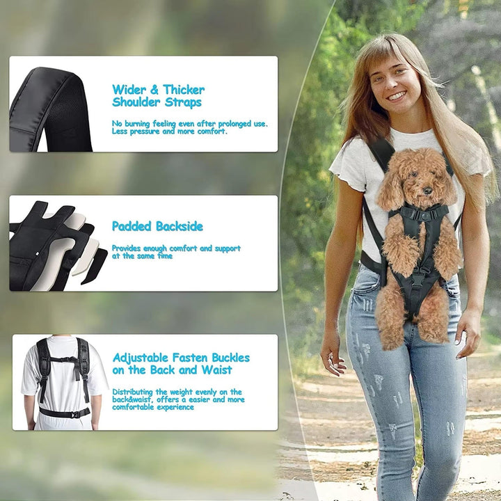 Dog carrying backpack 5