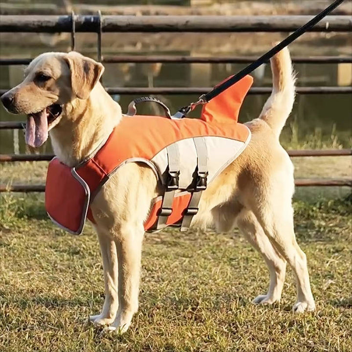 Dog floatation jacket 7