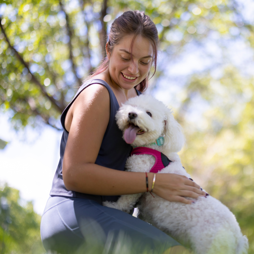 Dog seat for the back seat of the car – Comfortable single seat for pets 1