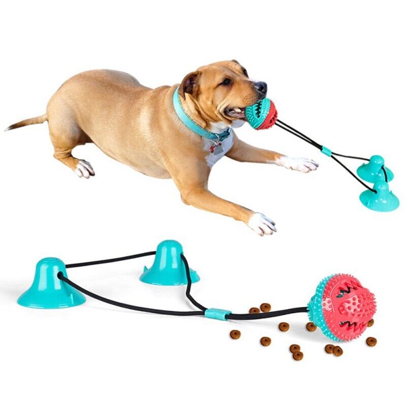 Dog sucking toy 1