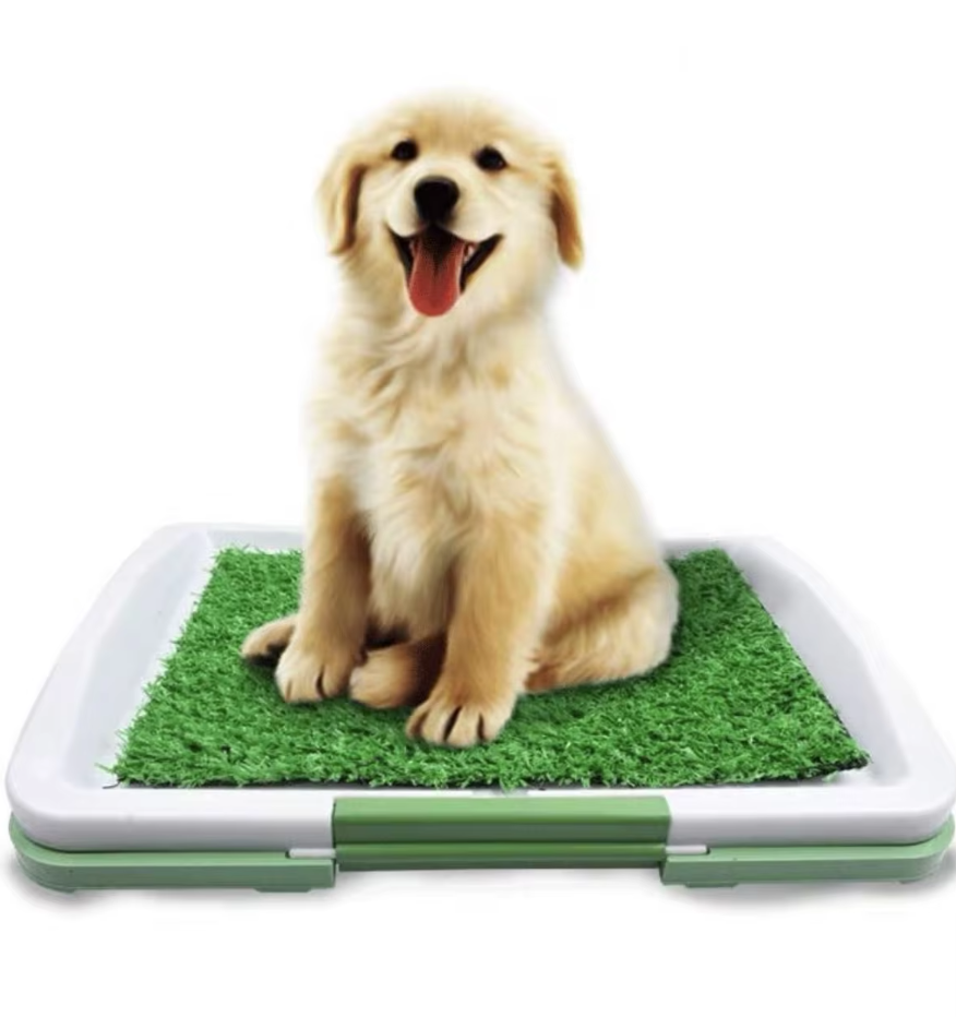 Dog toilet with artificial grass 0