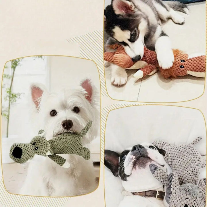 Durable dog toys 1