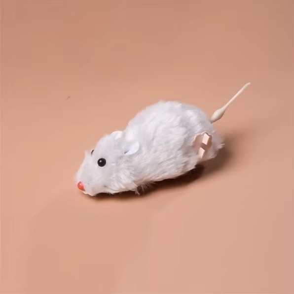 Electric Cat Toy Mouse – Interactive Racing Mouse for Hunting Fun 3