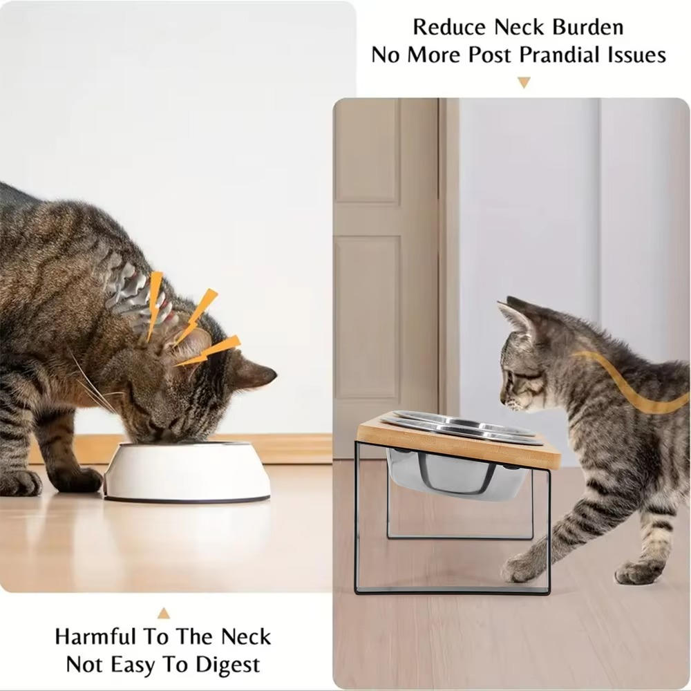 Elevated cat bowl 3