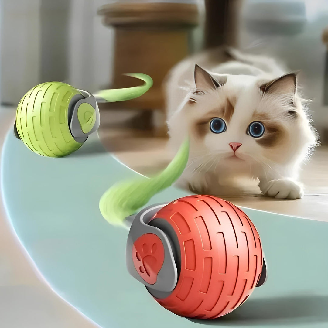 Floating cat toys 0