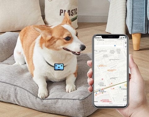 GPS tracker for dogs | Locator collar 5
