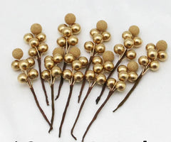 GoldenBerry | Luxury Yangmei Berry Bundle for Holiday Arrangement 0