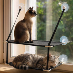 Hammock with window for cats 0