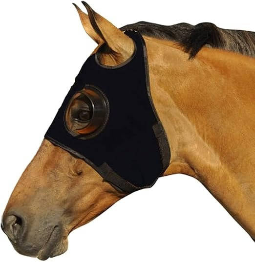 Horse blinders 0