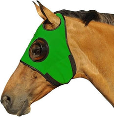 Horse blinders 1