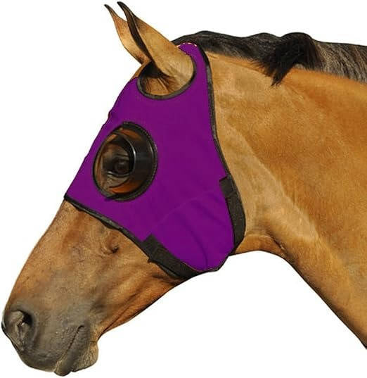 Horse blinders 4