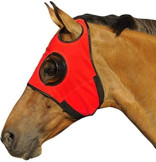 Horse blinders 5