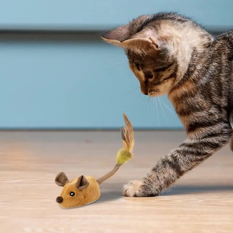 Intelligent mouse toy 1