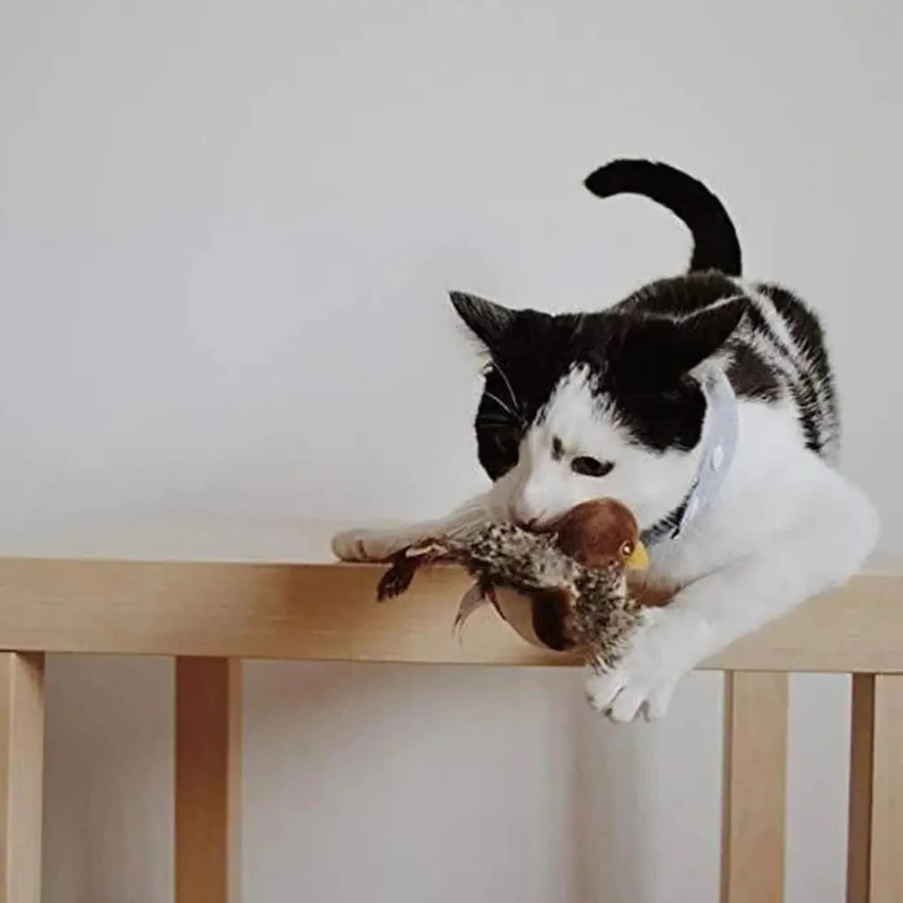 Interactive Sound Bird Cat Toy - Fluttering Feather Fun for Indoor Cats 4