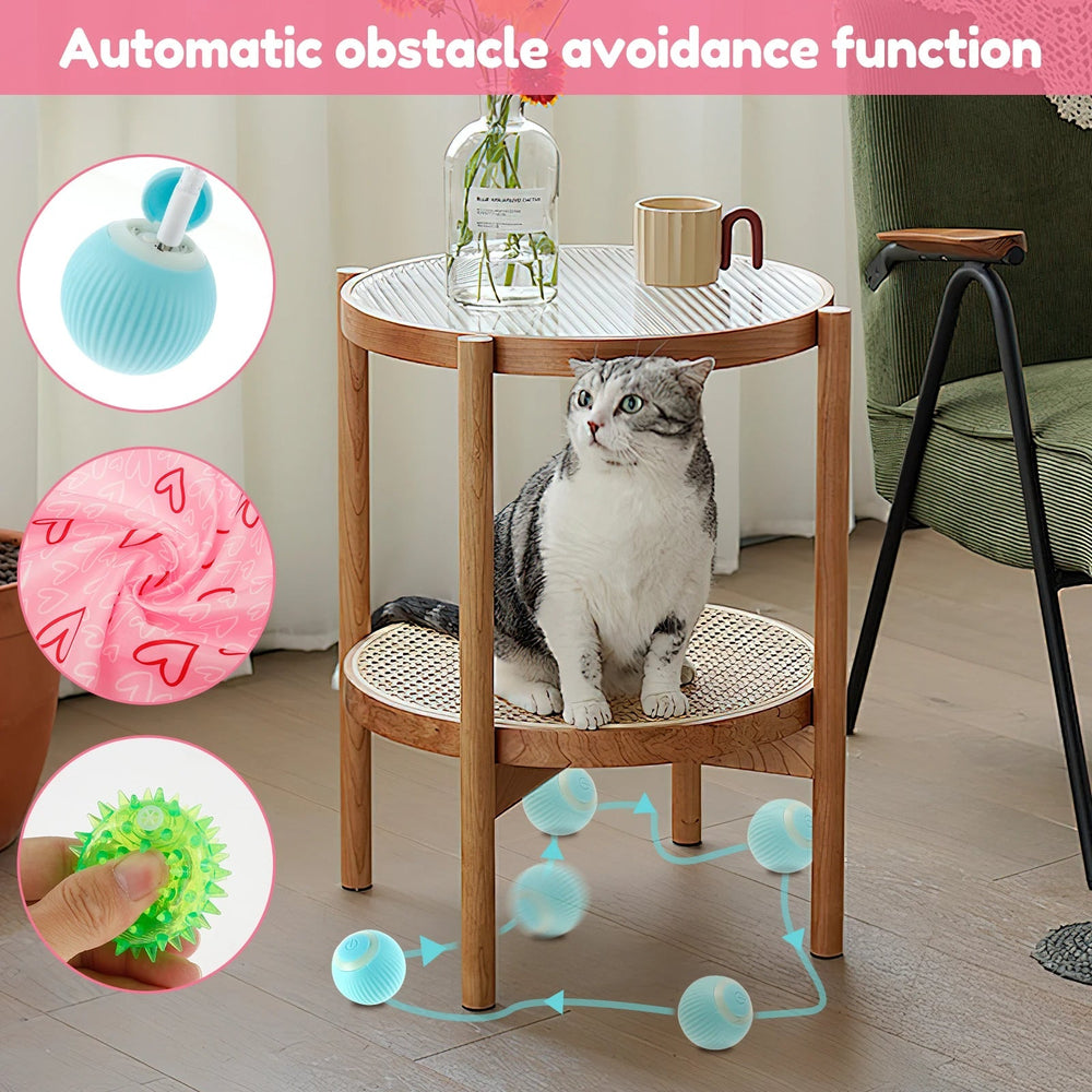 Interactive cat chasing toy with smart ball 1