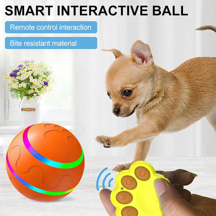 Interactive dog ball toy 1