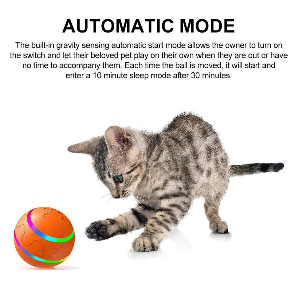 Interactive dog ball toy 2