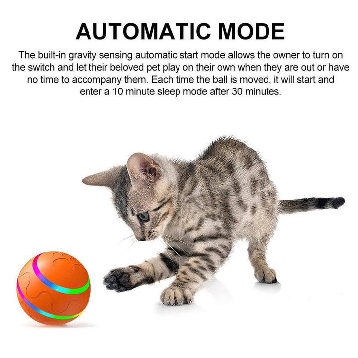 Interactive dog ball toy 2
