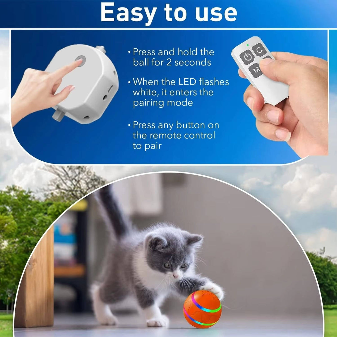 Interactive dog ball toy 3