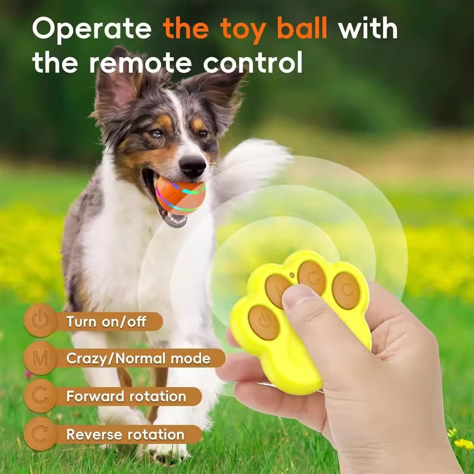 Interactive dog ball toy 4