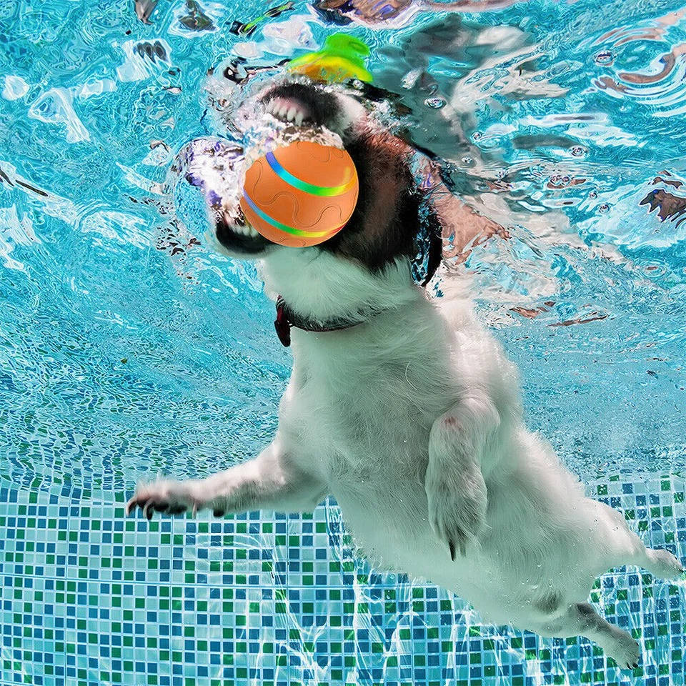 Interactive dog ball toy 6