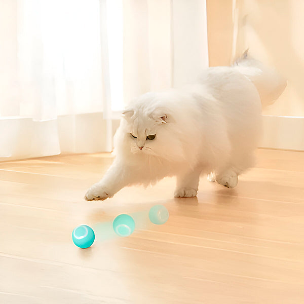 Interactive pet ball, rolls automatically 0