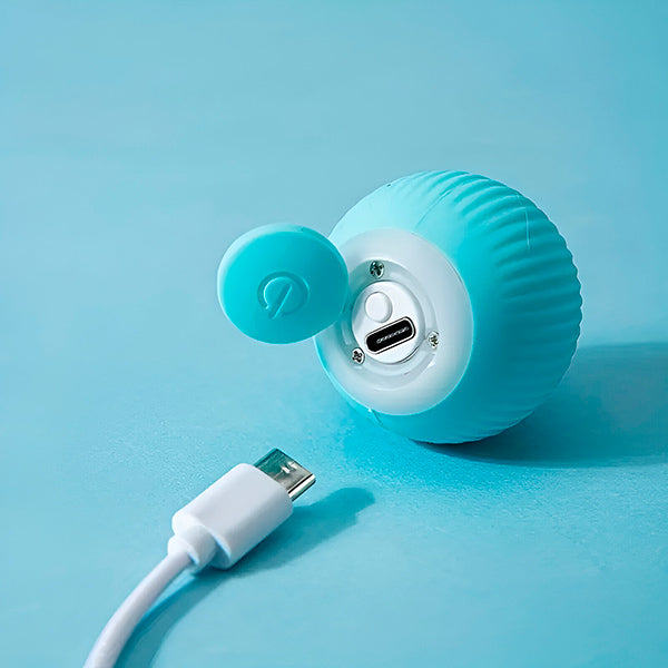 Interactive pet ball, rolls automatically 4