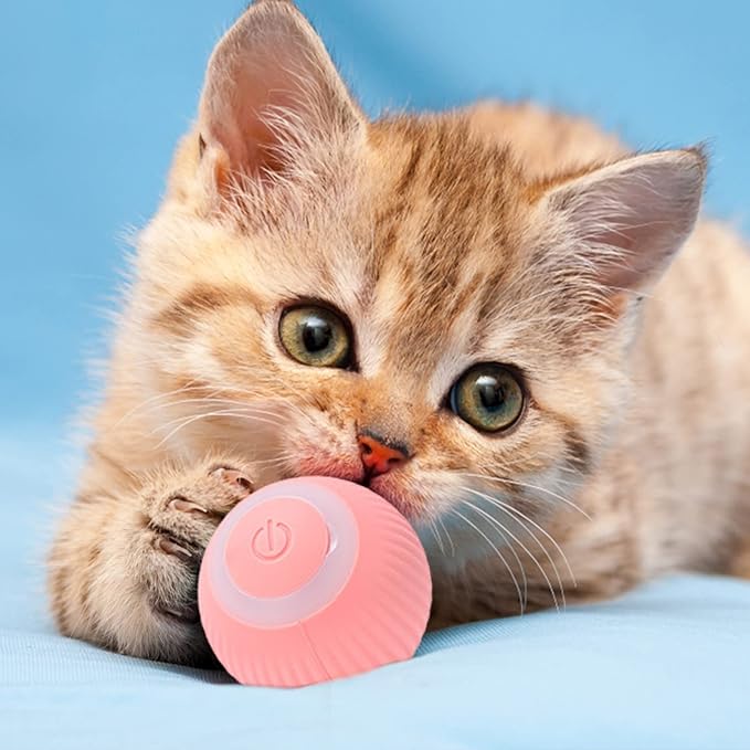 Interactive play ball for cats 1