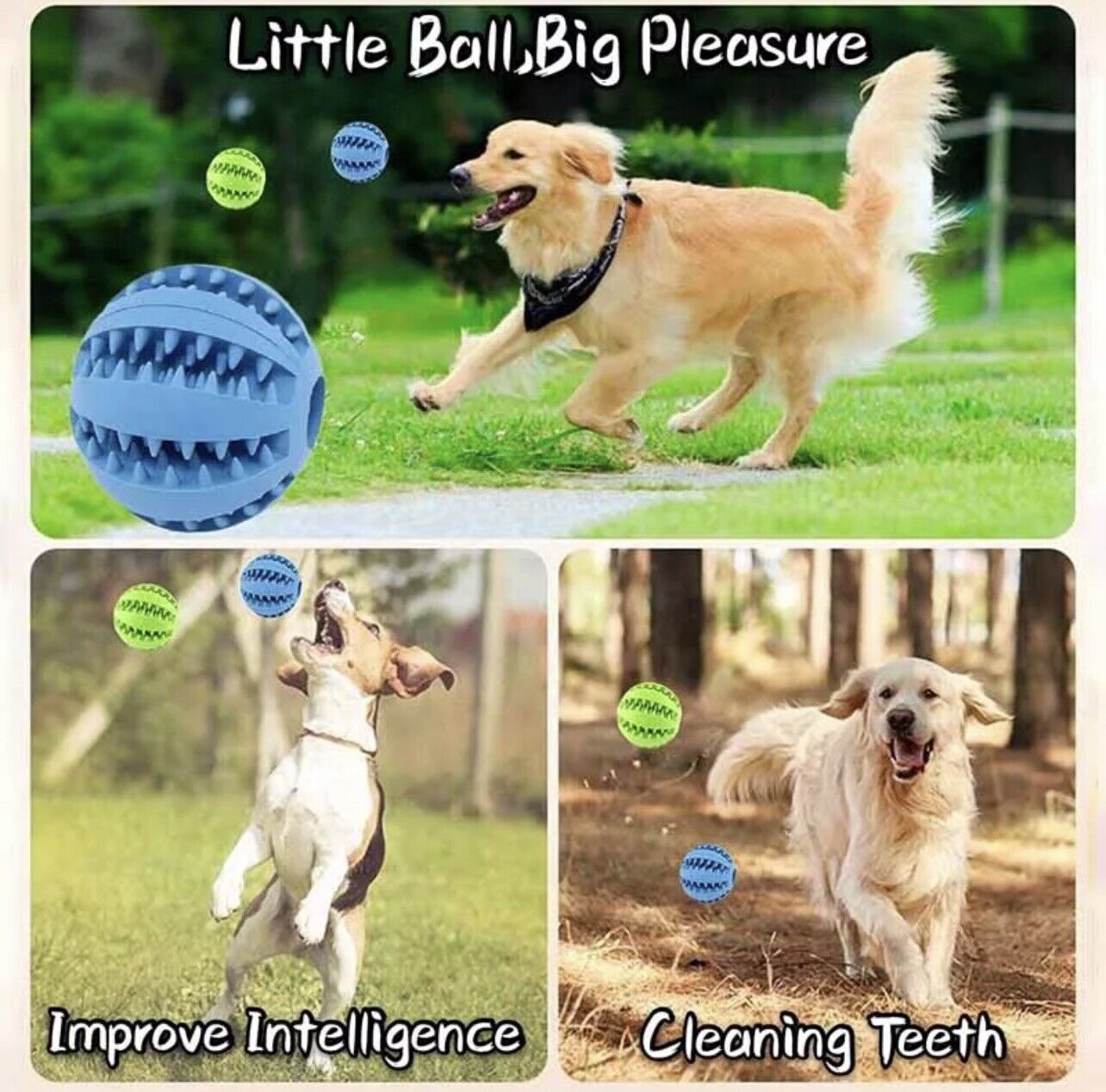 Interactive rubber ball 3