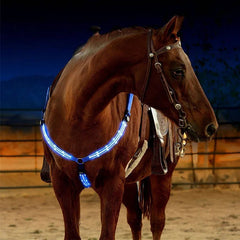 LED chest collar horse 3