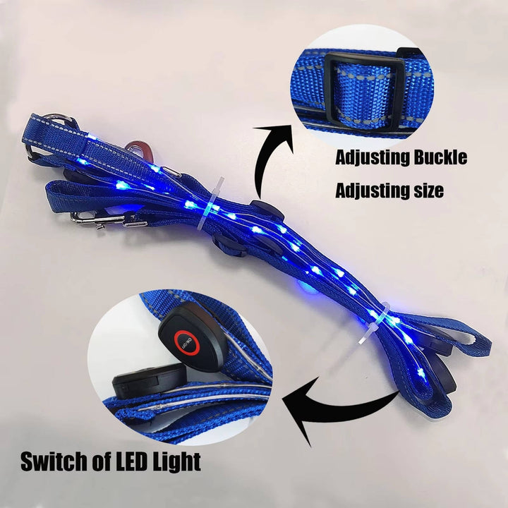 LED chest collar horse 5