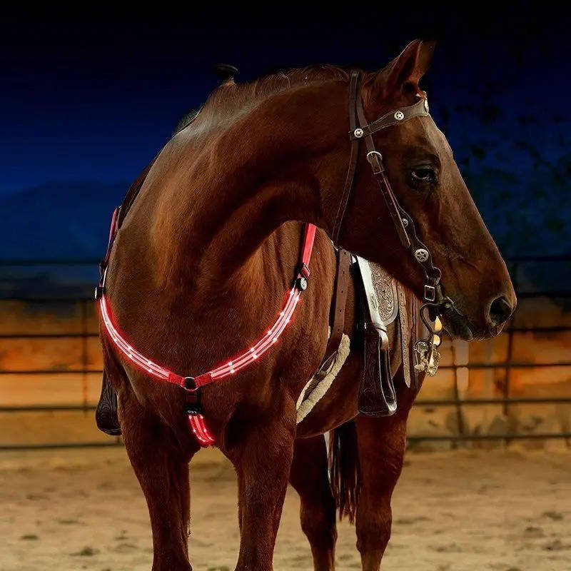 LED chest collar horse 7