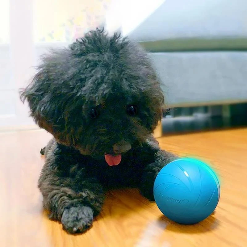 Magic ball pet movement toy 0