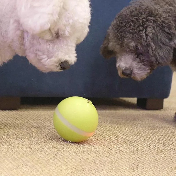Magic ball pet movement toy 1