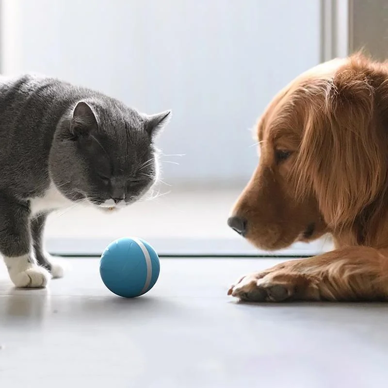 Magic ball pet movement toy 3