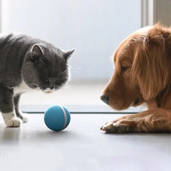 Magic ball pet movement toy 3