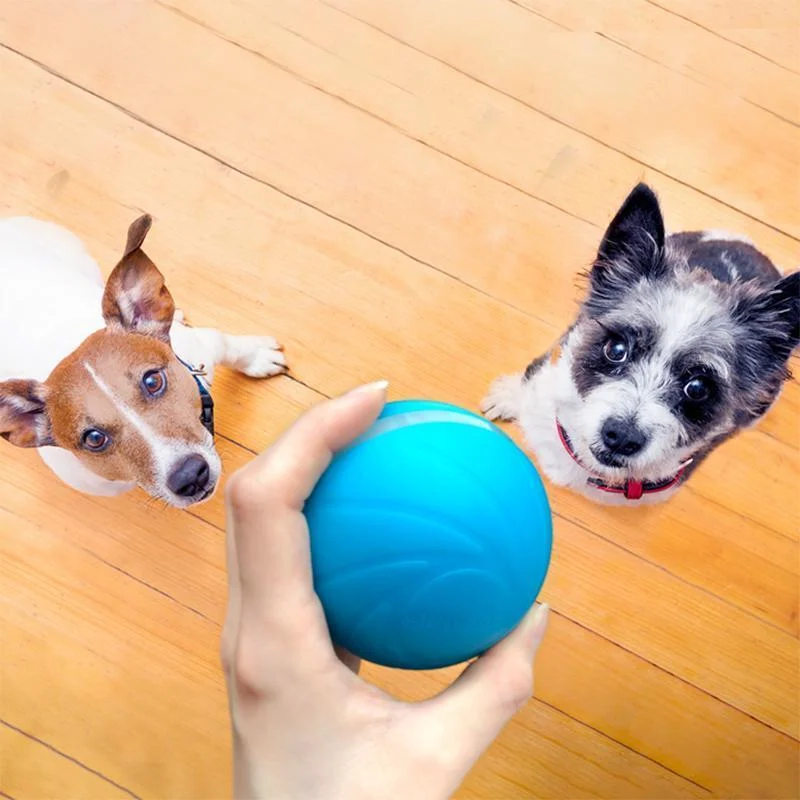 Magic ball pet movement toy 4