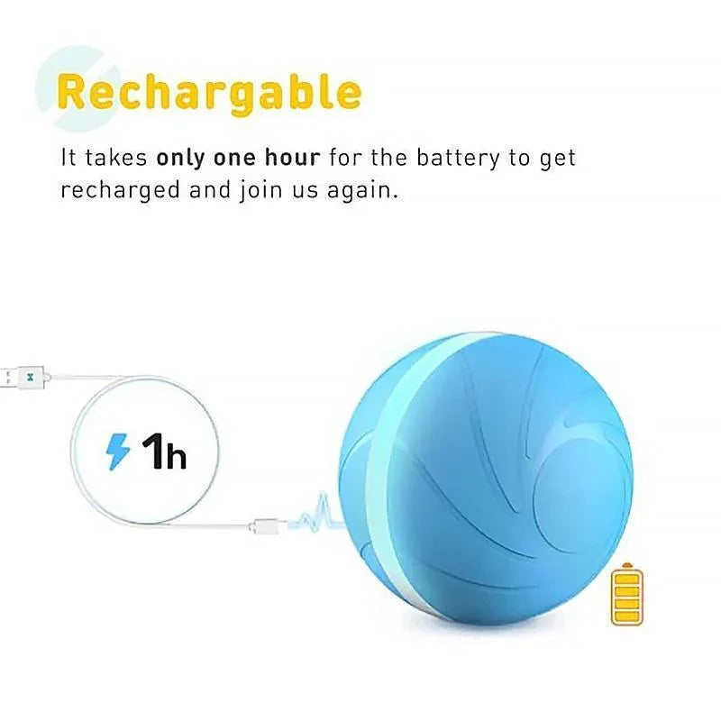 Magic ball pet movement toy 6