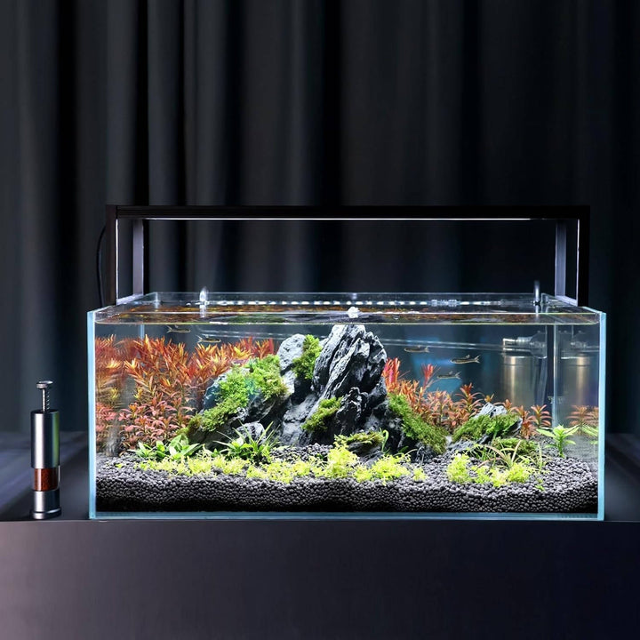 Mini fish feeder for aquarium 2
