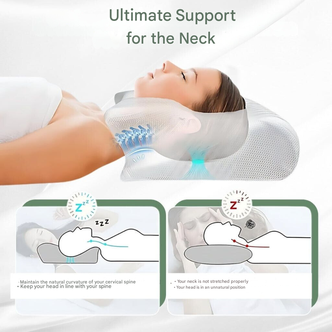 Orthopedic Memory Pillow – DreamAlign 7