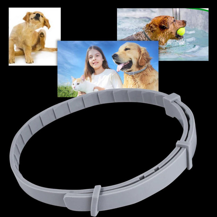 Parasite-repellent collar for pets 1