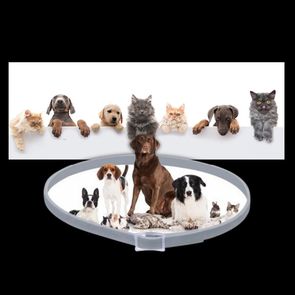 Parasite-repellent collar for pets 4