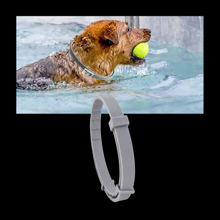 Parasite-repellent collar for pets 6