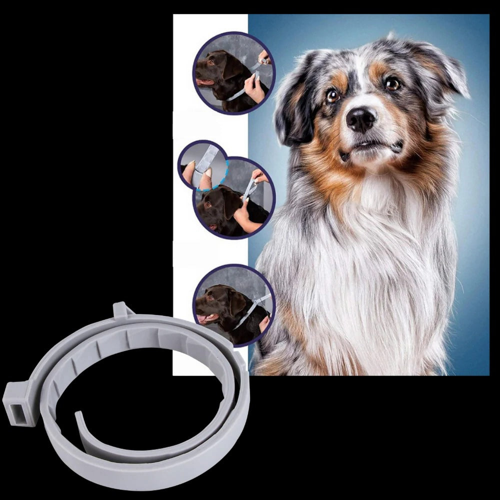 Parasite-repellent collar for pets 7