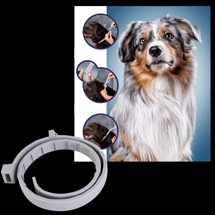 Parasite-repellent collar for pets 7