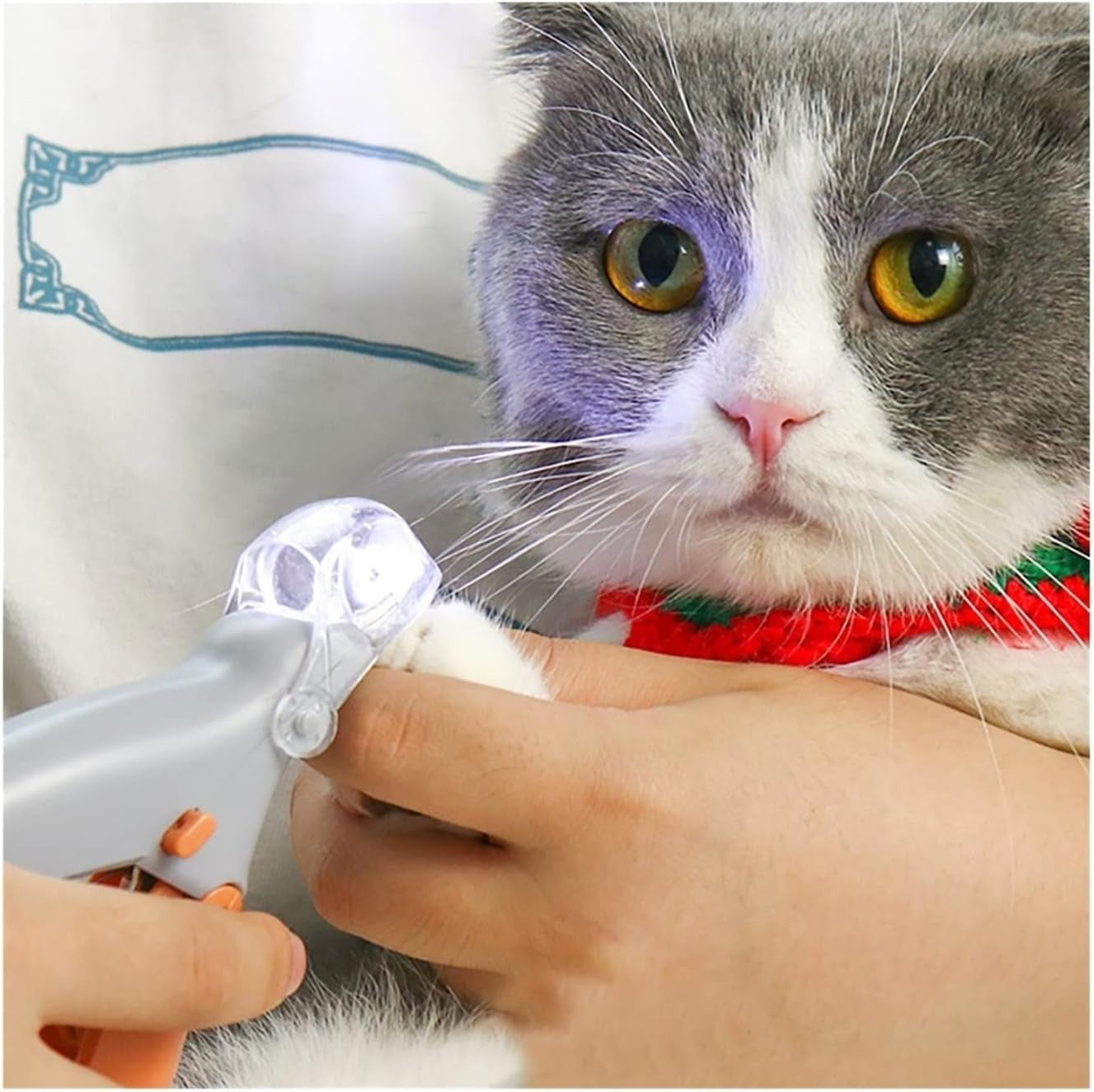 Pet Jaw Clipper with Light 1
